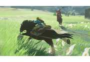 The Legend of Zelda: Breath of the Wild [Switch]