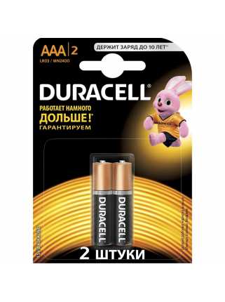 Батарейки Duracell (AAA, 2 шт)