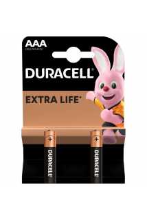 Батарейки Duracell LR03/MN2400 (AAA, 2 шт)