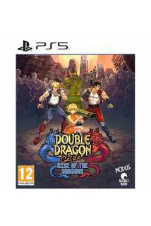 Double Dragon Gaiden: Rise of the Dragons [PS5]