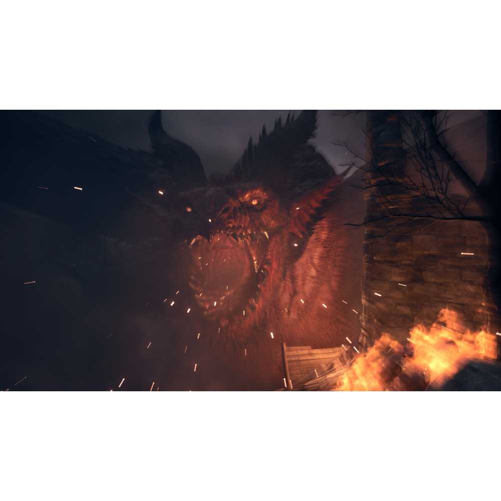 Dragon's Dogma 2 [PS5] - купить в Минске, цены