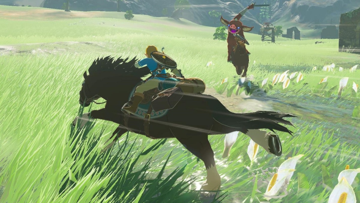 The Legend of Zelda | Скриншот 3